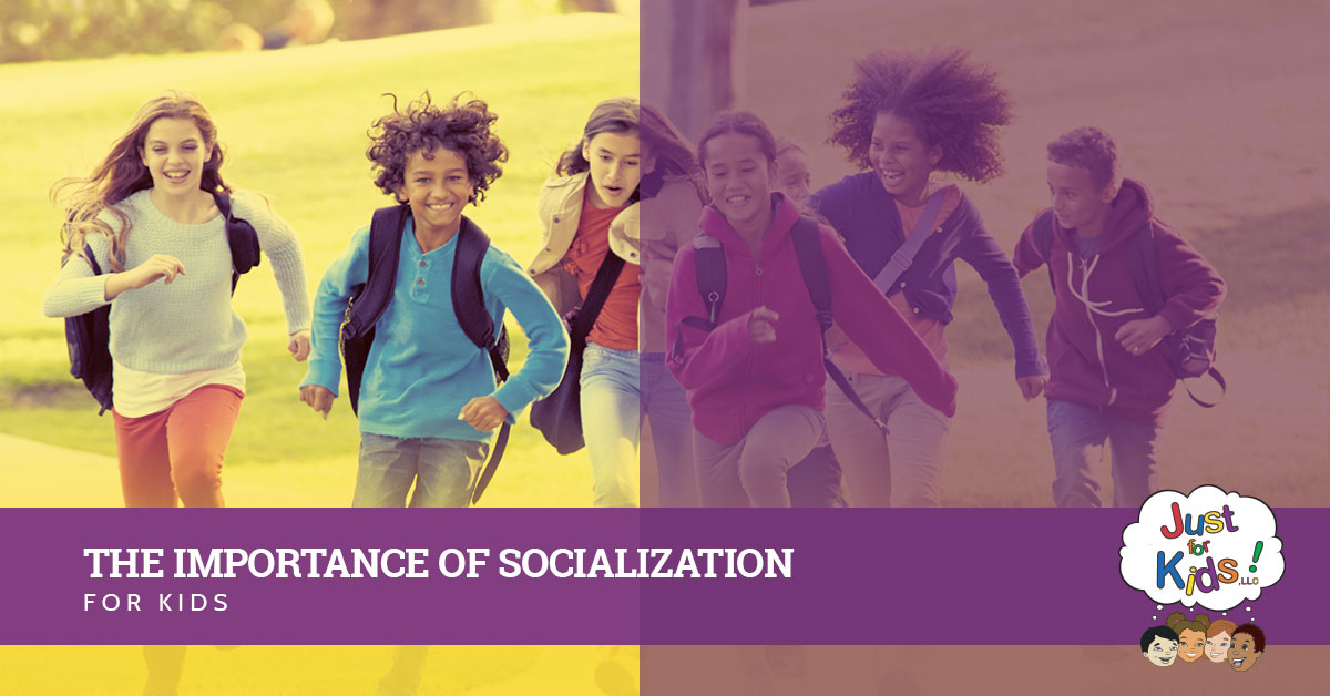 importance-of-socialization-5b63340be6b75