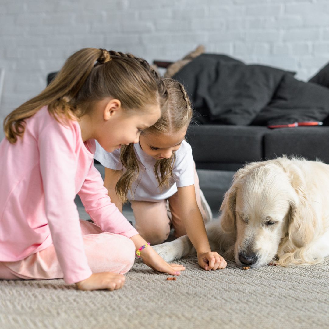 girls feeding a dog treats