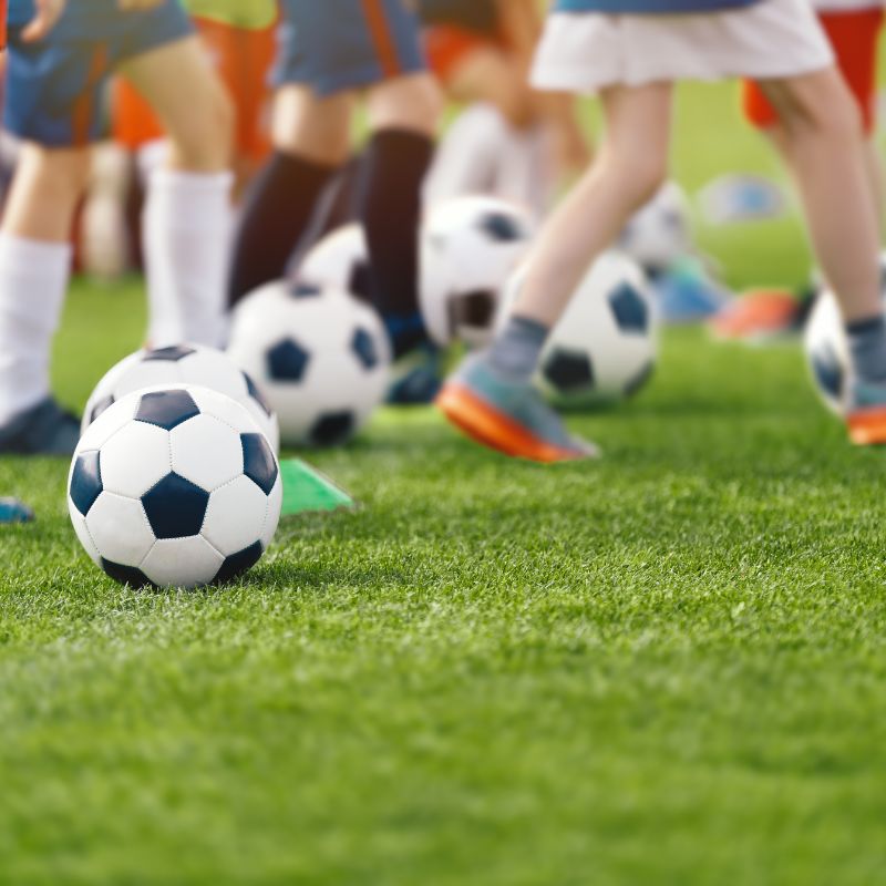 Summer camp activity. 