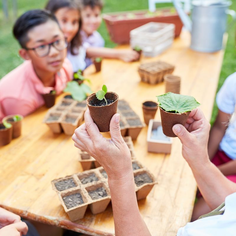 Summer camp activity. 