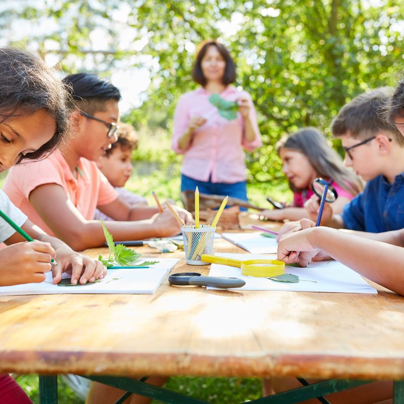 Summer camp activity. 