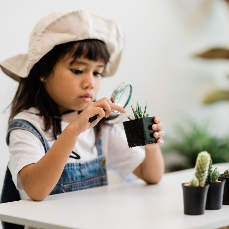 Summer camp activity. 